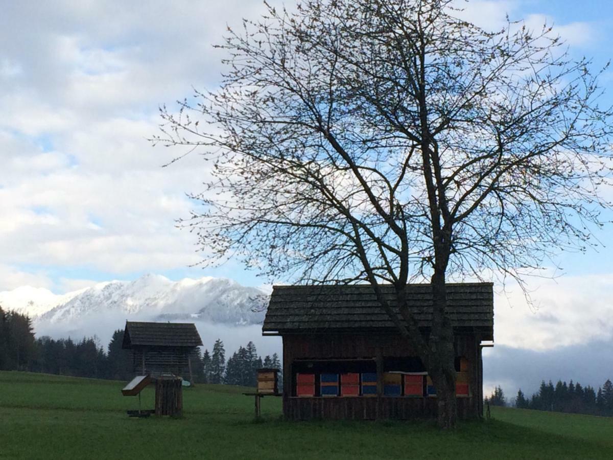 Ferienwohnung Lassendorf แฮร์มากอร์ ภายนอก รูปภาพ
